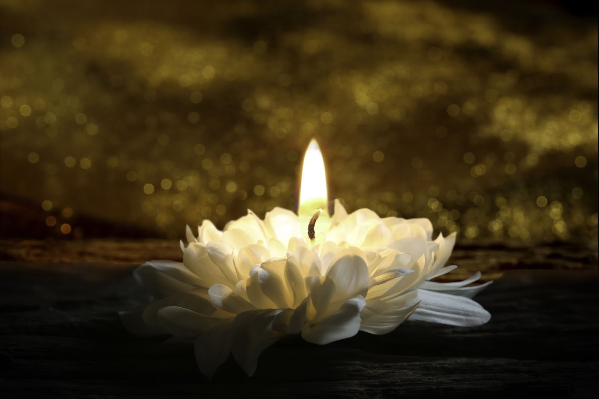 Care Cremation Service building in Clackamas, Oregon