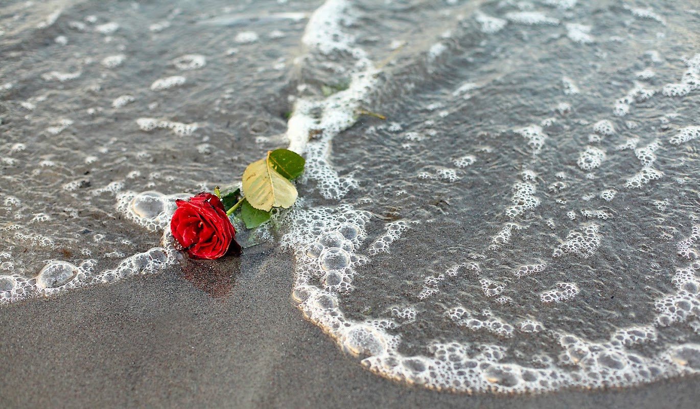 Coastal Cremation & Funeral Care building in New Port Richey, Florida