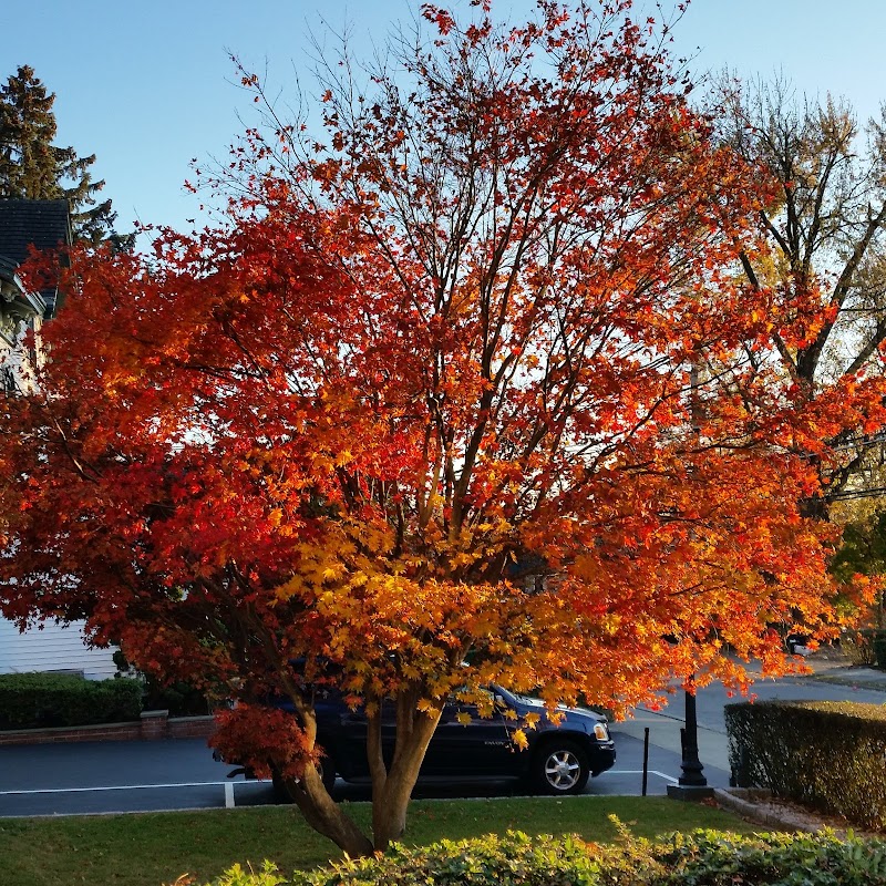 Curry & Giordano Funeral Home Inc building in Peekskill, New York