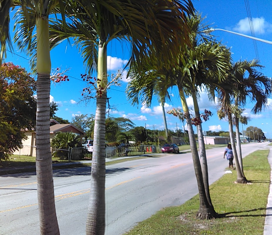 Jay-Johnson Funeral Home building in Homestead, Florida