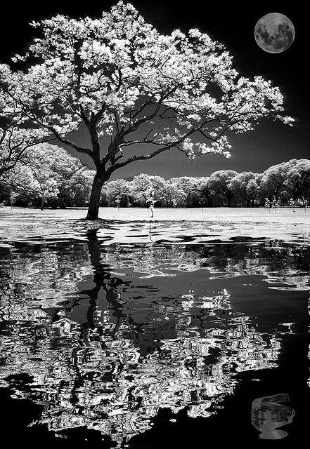 Reflections Memorial Services building in Kansas City, Missouri